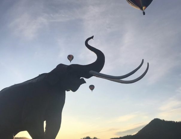 Hot Air Balloons at The Mammoth Site